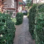 Jasmin 4*